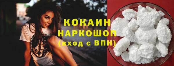мяу мяу кристалл Няндома