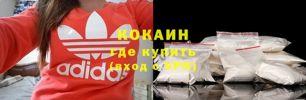 мяу мяу кристалл Няндома