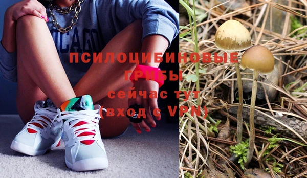 мяу мяу кристалл Няндома