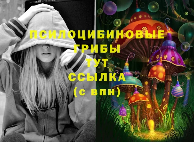 Галлюциногенные грибы Psilocybe  Белогорск 