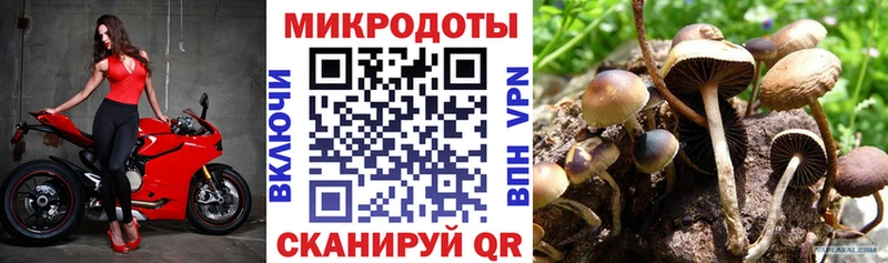 закладки  Белогорск  гидра маркетплейс  Псилоцибиновые грибы Cubensis 