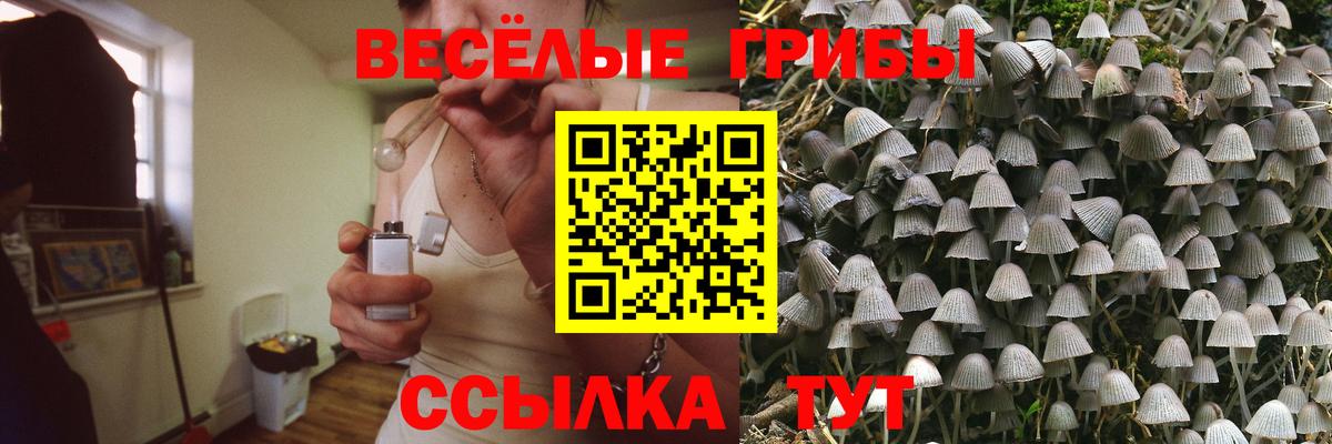 Галлюциногенные грибы GOLDEN TEACHER Белогорск