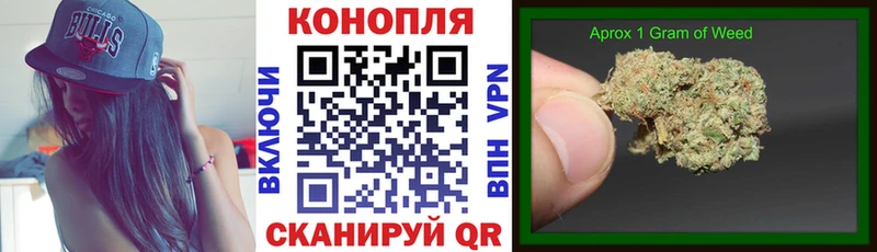 как найти   Белогорск  Шишки марихуана ГИДРОПОН 